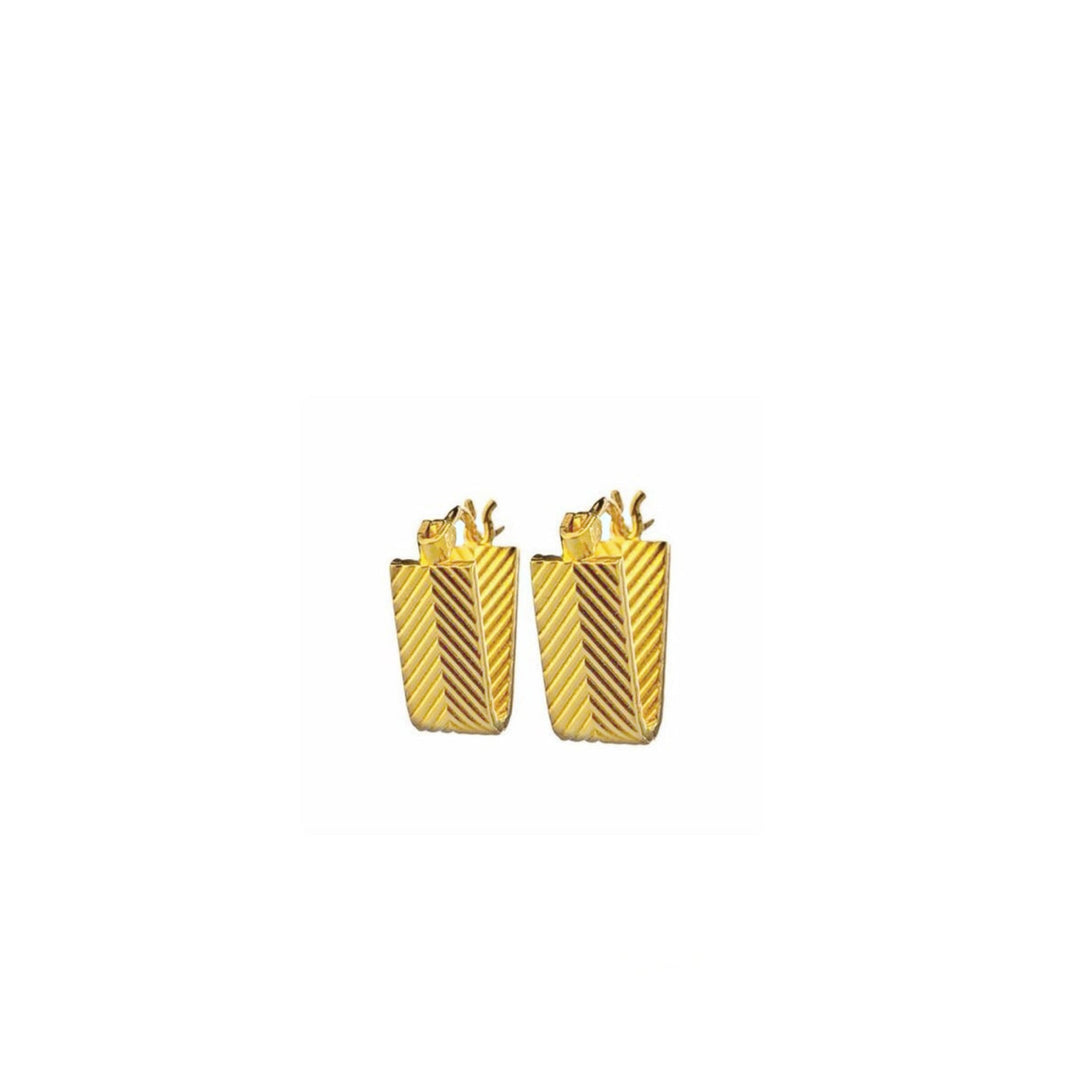 V EARRINGS