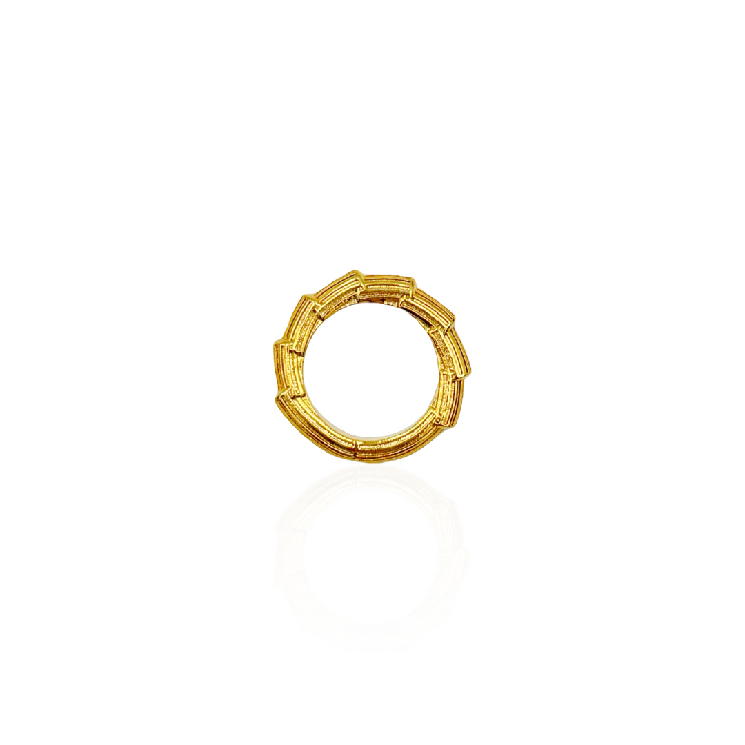 PISA RING